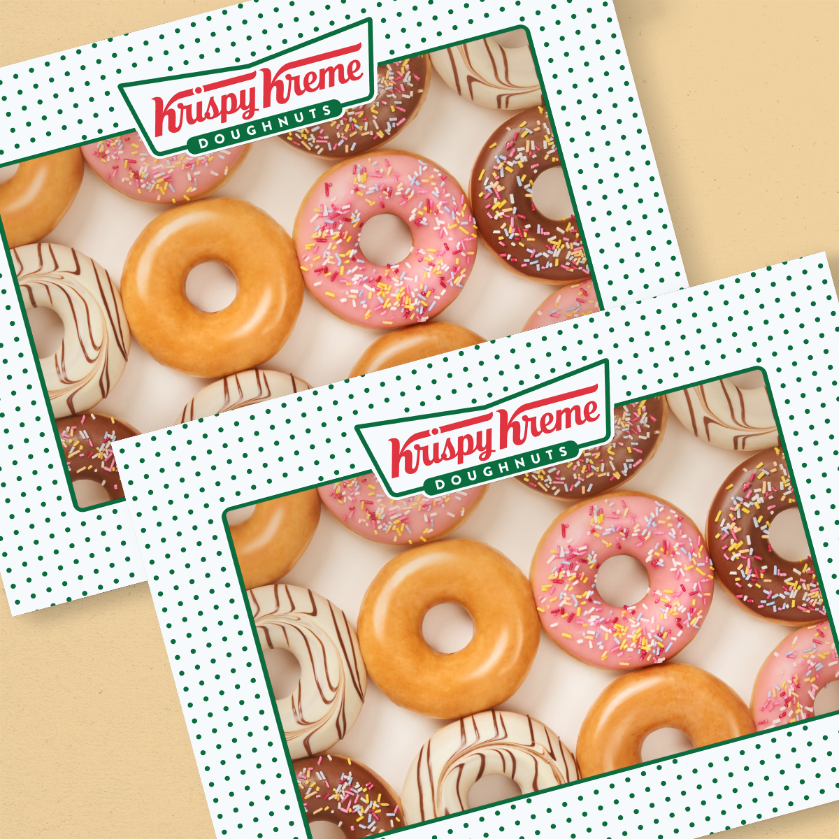 Assorted Ring 24 Pack